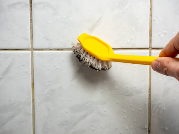 Best Certified Mold Removal  in Cherryville, PA