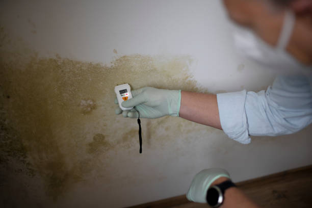 Best Crawl Space Mold Removal  in Cherryville, PA