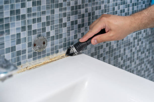 Best Mold Testing  in Cherryville, PA
