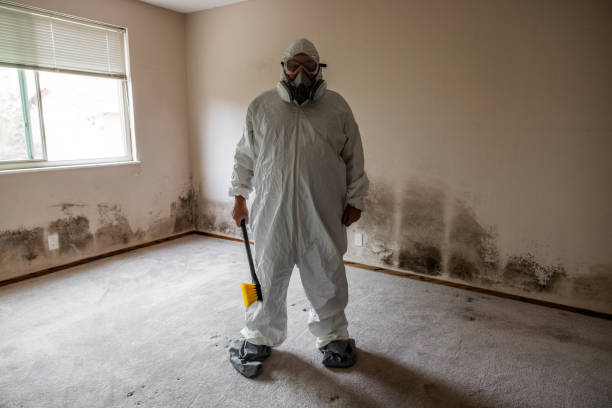 Best Commercial Mold Removal  in Cherryville, PA