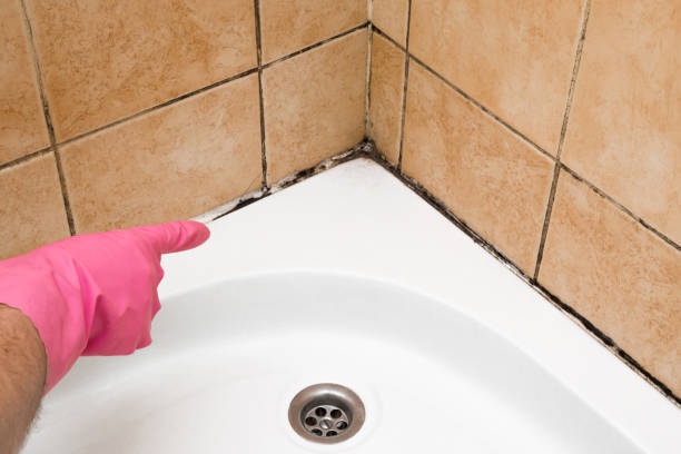 Best Mold Cleaning Services  in Cherryville, PA